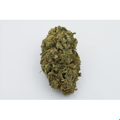 emerald fire OG bee.JPG